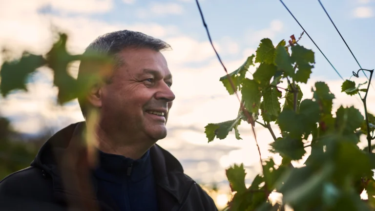 Keď terroir rozpráva príbeh: Malé Karpaty – najperspektívnejší vinársky región Slovenska