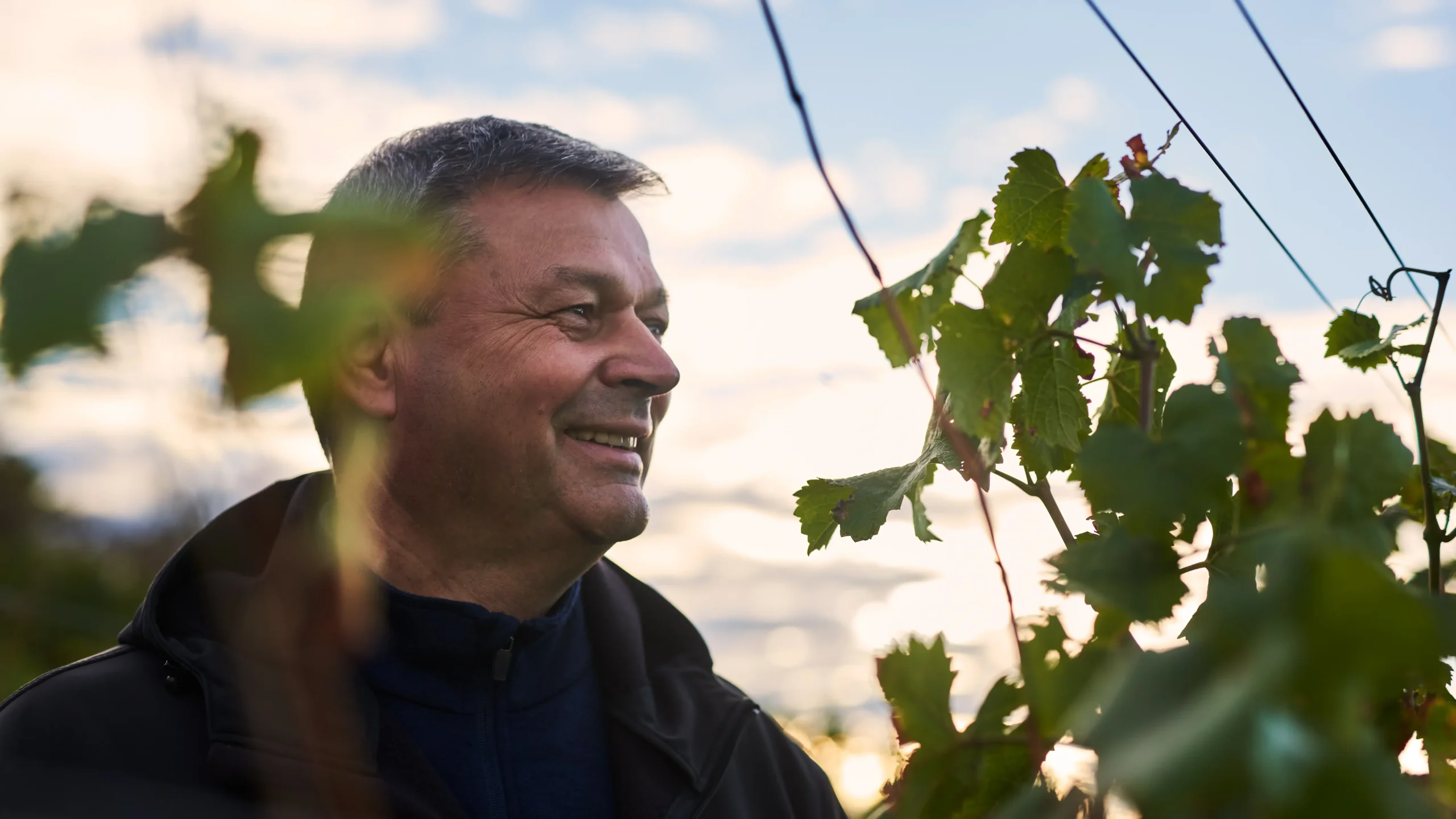 Keď terroir rozpráva príbeh Malé Karpaty - najperspektívnejší vinársky región Slovenska