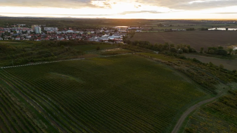 Prenocovanie v šenkvických vinohradoch