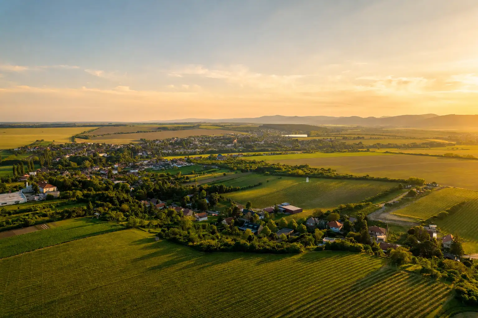 Trnavský vinohradnícky rajón
