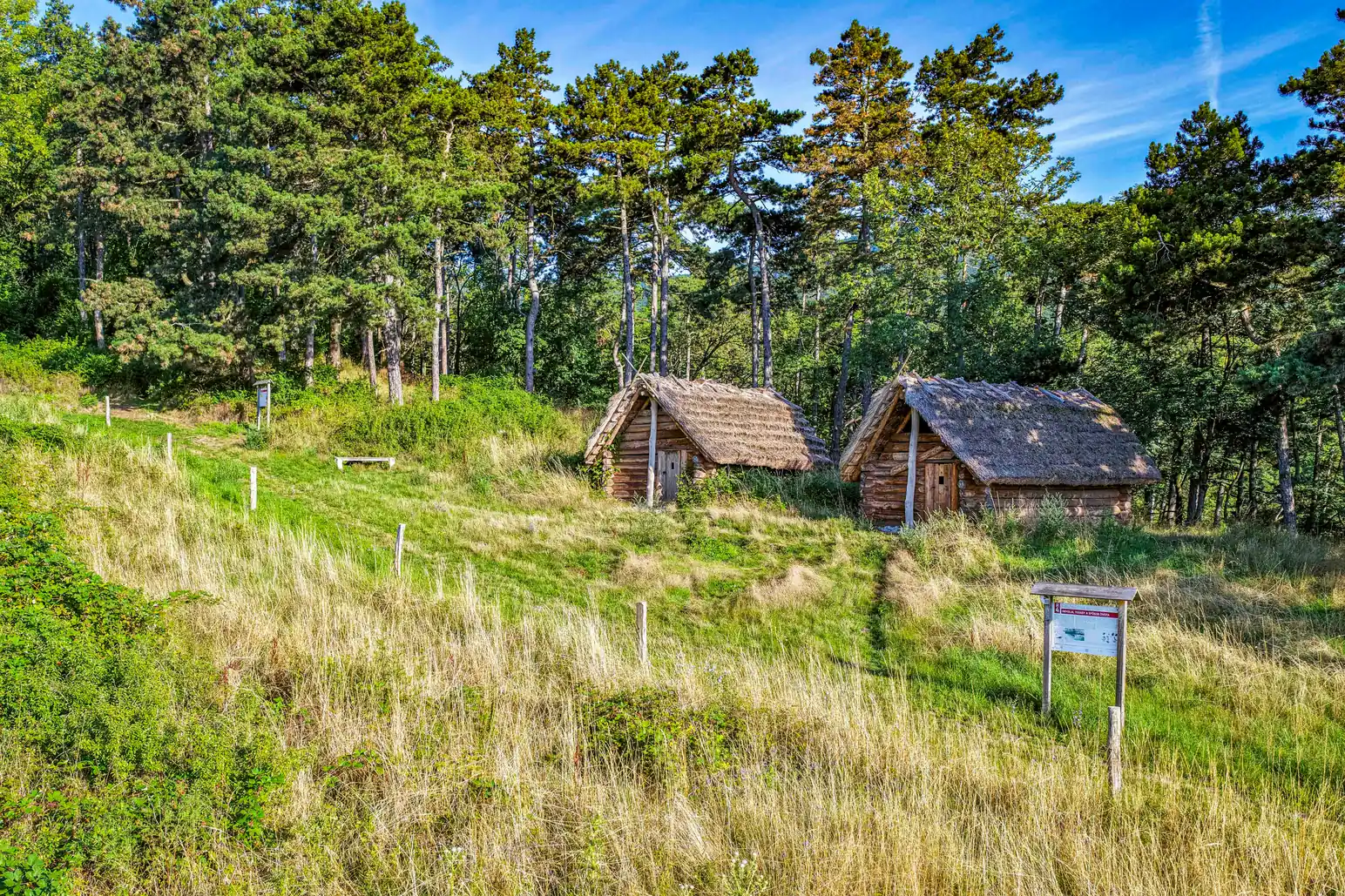 thatched_log_cabins_forest