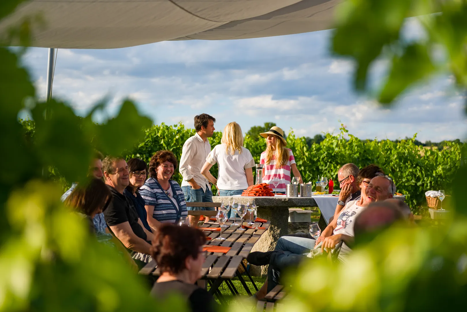 vineyard_group_dinner