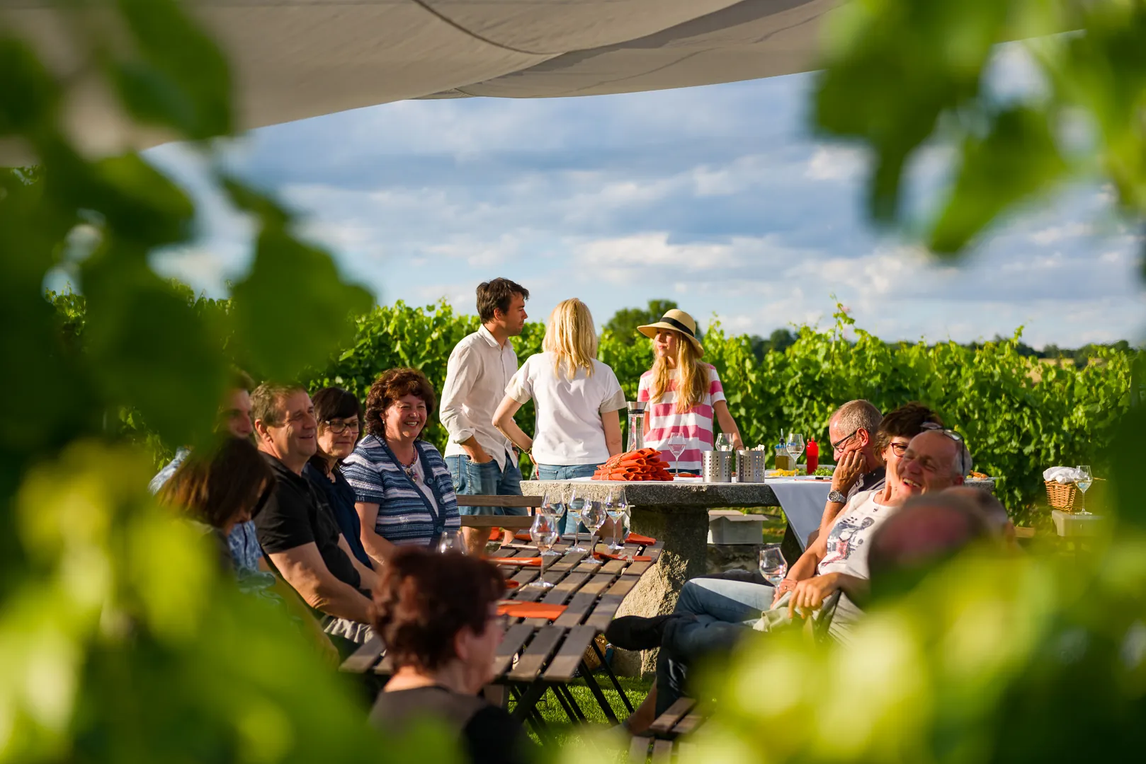 vineyard_group_dinner