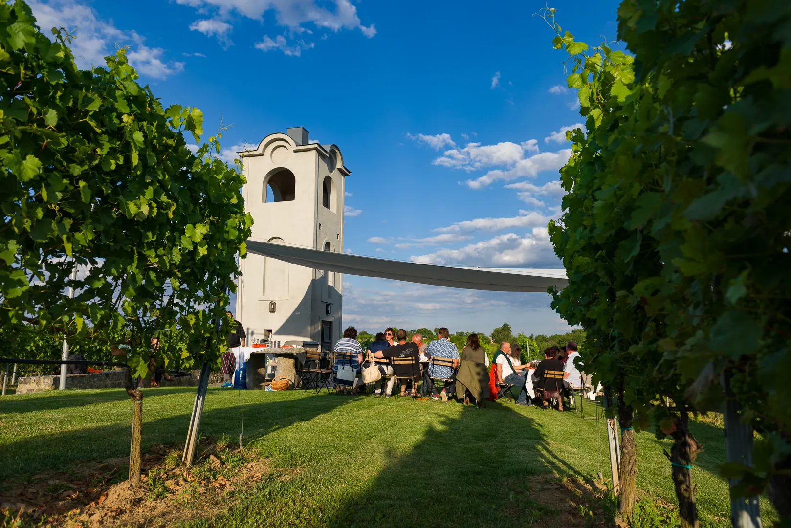 vineyard_tower_group_dinner