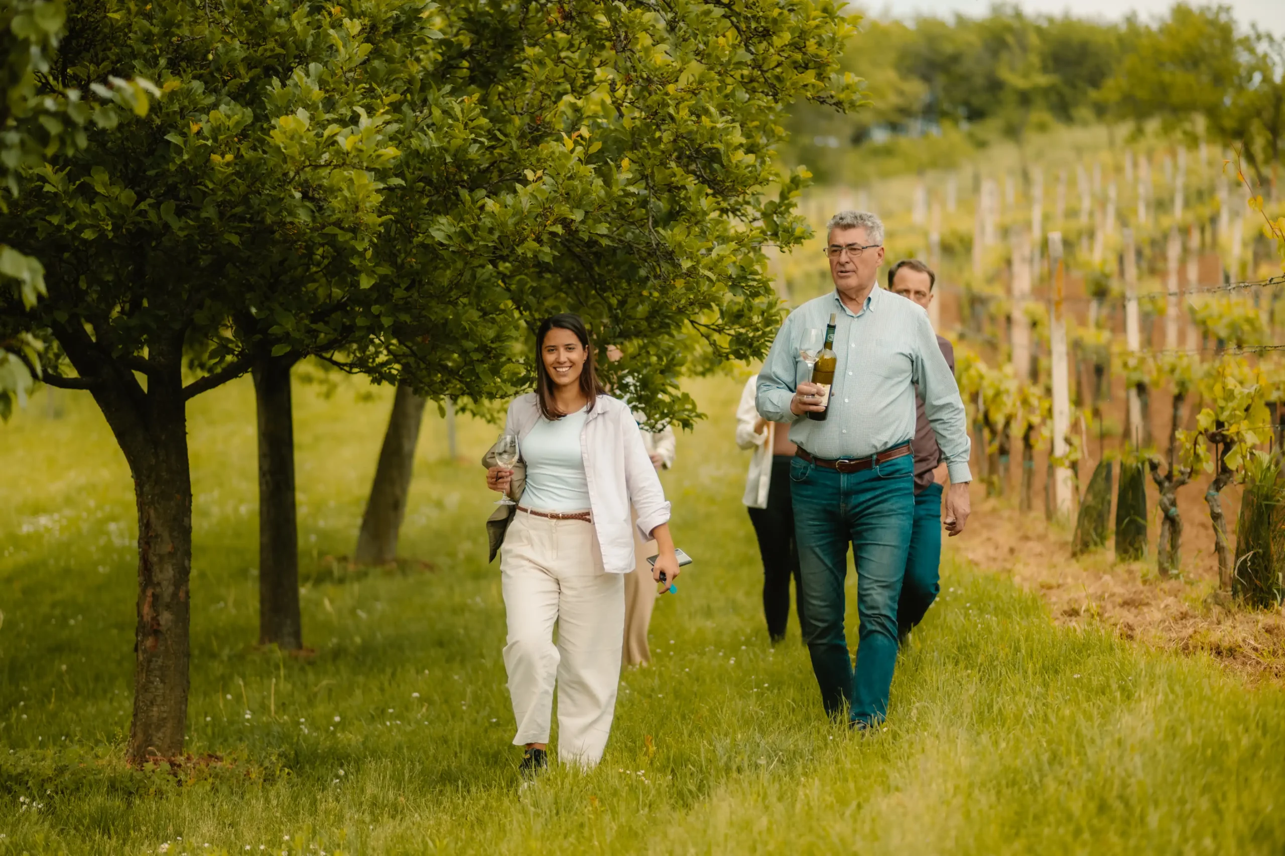 vineyard_walk_wine_tasting
